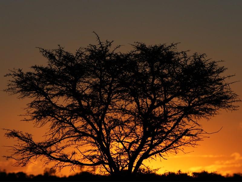 Safari Lodge- Amakhala Game Reserve Eksteriør billede