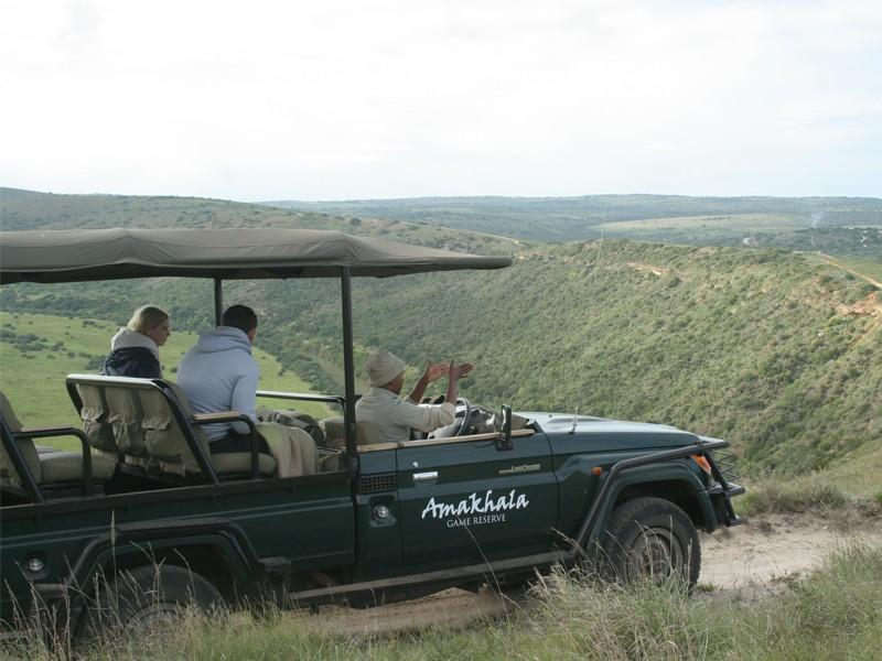 Safari Lodge- Amakhala Game Reserve Eksteriør billede